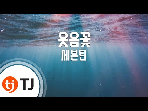 [TJ노래방] 웃음꽃 - 세븐틴(Seventeen) / TJ Karaoke