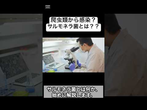 サルモネラ菌について詳しく解説