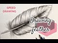 DRAWING A FEATHER REALISTIC ART DRAWING GALERIE SAJA