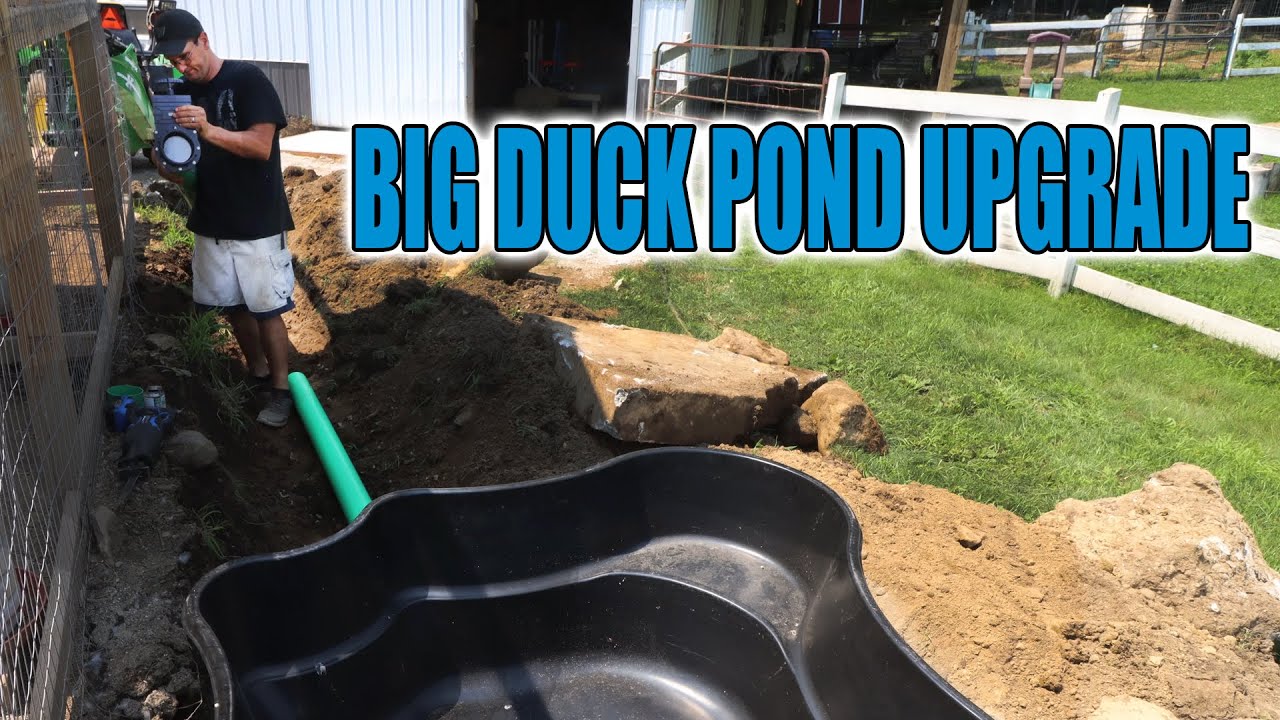 EASY DUCK POND BUILD WITH DRAIN for CLEANING - Part #1