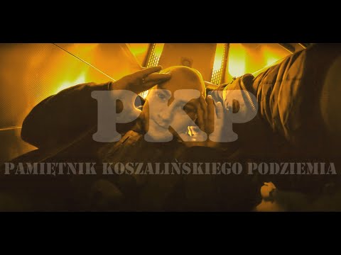 W.N.U. (Ponti & Stili) feat. Liściu- Po co to robię