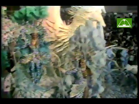 Portela 1981 (Globo)