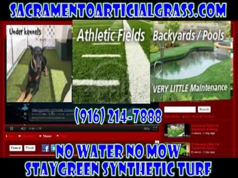 Sacramento Artificial Grass - Carmichael, CA 95609 - (916)214-7888 | ShowMeLocal.com