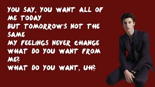 Mutual - Shawn Mendes (Lyrics)