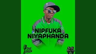 Download lagu Nipfuka Niyaphanda mp3