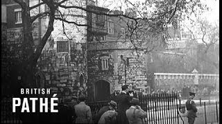 Loyal Congratulations (1934)