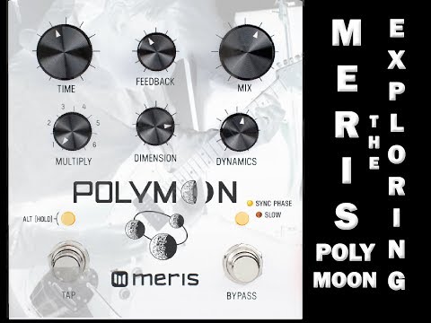 Exploring the Meris Polymoon