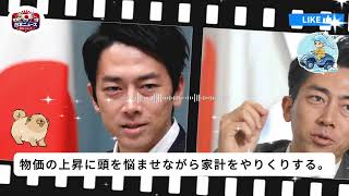 【激震】小泉進次郎が電撃発表！自民党内部で何が起きているのか？日本中に衝撃