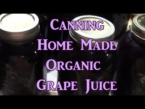 download lagu mp3 mp4 Canning Green Grape Juice, download lagu Canning Green Grape Juice gratis, unduh video klip Canning Green Grape Juice