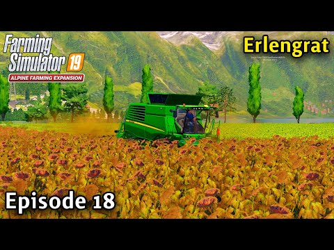 FS19 Timelapse - Alpine DLC Erlengrat Ep 18 BUYING A NEW FIELD