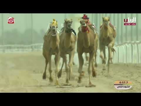 ش 2 الخنجر (دسمان) لـ علي راشد حمد غدير الكتبي 12:23:40 ، مهرجان ختامي الشحانية 2026/04/29 زمول