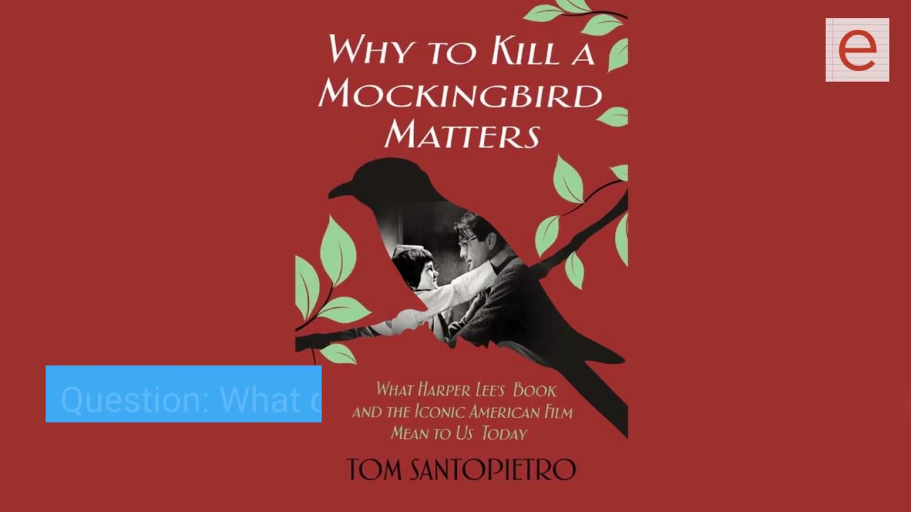 What do the objects in the tree in To Kill a Mockingbird symbolize
