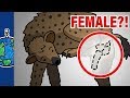 Why Do Female Hyenas Have Pseudo Penises