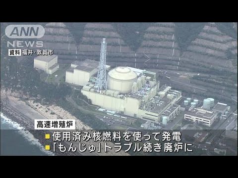 ナトリウム冷却高速中性子炉の説明