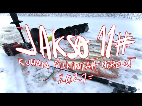 Jakso 11# Kuhan pilkintää merellä 4K 01/2021