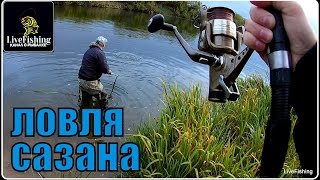 Рыбалка на реке быстрая сосна липецкой области