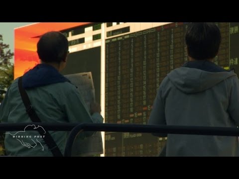 Japan's racing obcession