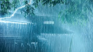 Beat Insomnia Instantly to Sleep Well with Torrential Rain on Metal Roof & Strong Thunder at Night