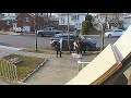 GRAPHIC CONTENT Pit Bull Kills Family Dog In Savage Attack