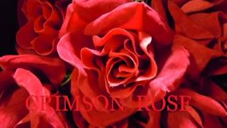 CRIMSON ROSE 2012