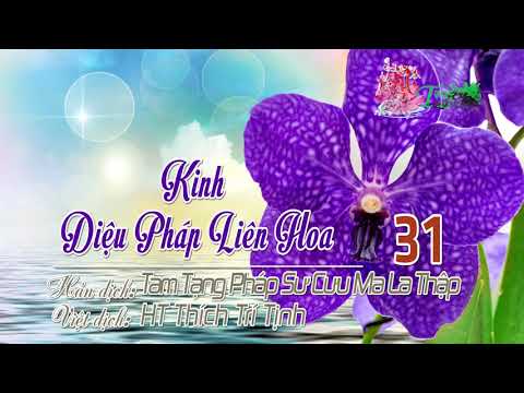 28. Phẩm Phổ Hiền Bồ Tát Khuyết Phát Thứ Hai Mươi Tám