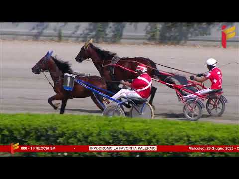 Prova di Qualifica del 28 Giugno 2023 - 2 Anni - Metri 2000