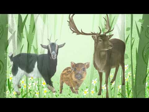 Wildgehege Weißhauswald Trier