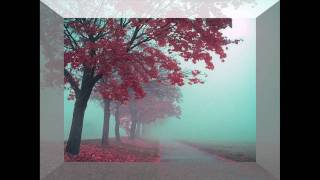 Duke Ellington and his orchestra.- Satin Doll (HD)