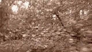 BURZUM - Dominus Sathanas