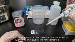 Zebrafish Toluidine Blue Staining