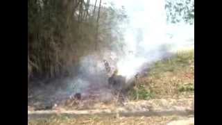 preview picture of video 'hutan DAYAH TUHA  terbakar'