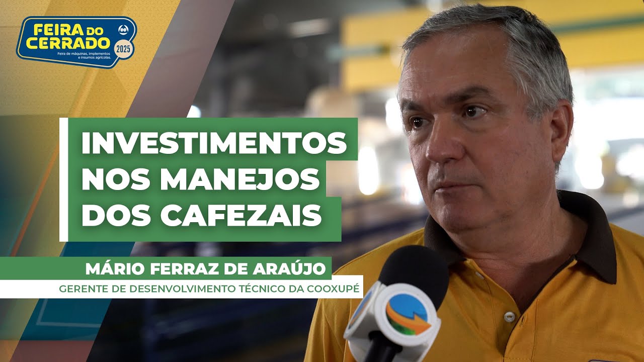 Fortes altas nos preços do café incentivam os produtores a realizarem