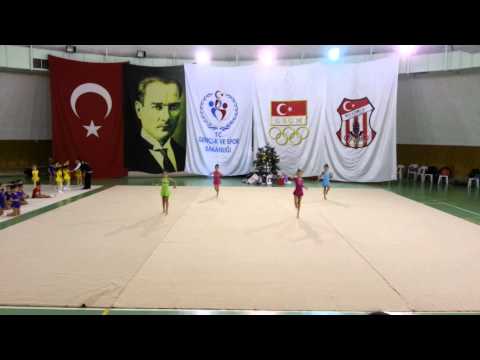 Simla Burhan Felek 2012