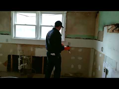 Cockroaches Found During Kitchen Renovations in Fair Haven, NJ