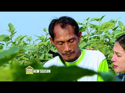Pas-Pasan, Pak Ahmad Hanya Bisa Beli Lauk Telur 2 Butir Untuk Keluarga | BEDAH RUMAH EP 116 (1/4)