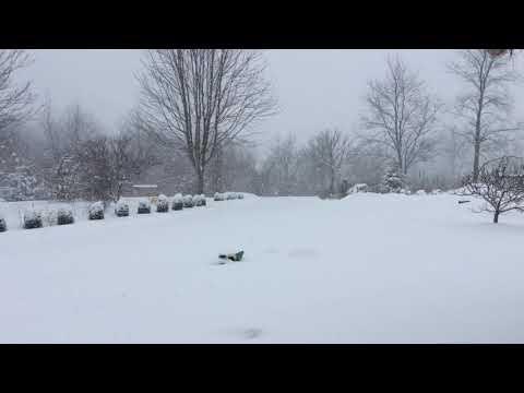 Winter Wonderland in Pennsylvania - February 1, 2021