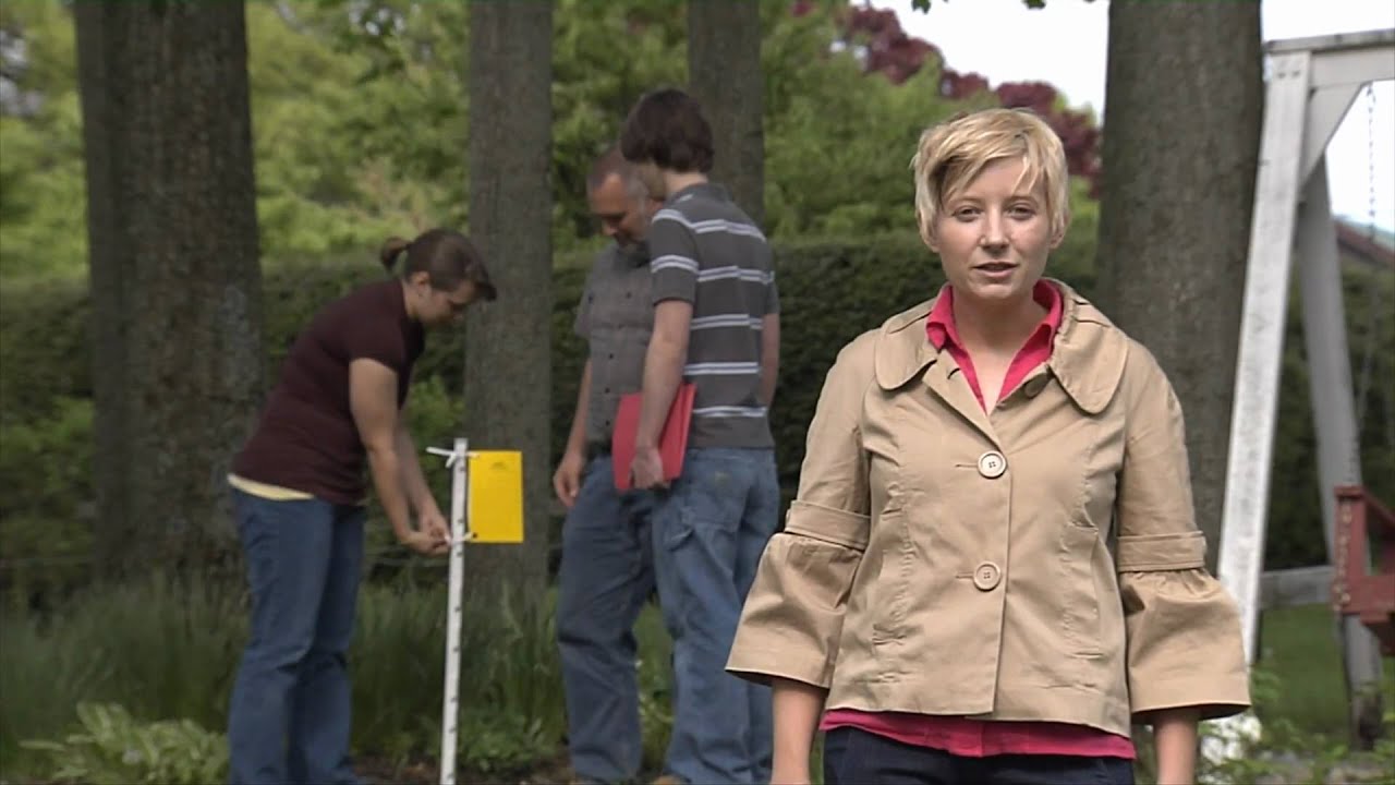 The Buckeye Lady Beetle Blitz Volunteer Training Video