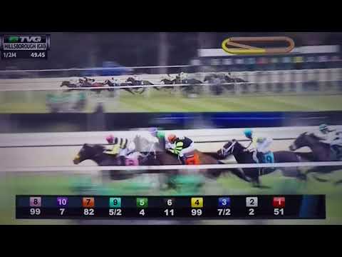 HILLSBOROUGH (G 2) STAKES 3/10/18 - FOURSTAR CROOK !!
