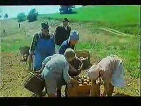 Koruza,Krompir in meso!