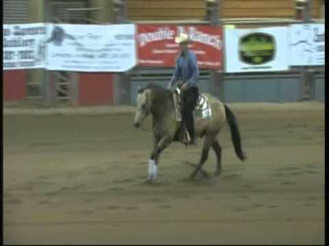 Dun Hot Whiz NRHA NH Open 2014 BSRC