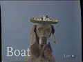 Sesame Street Wegman S Dogs B