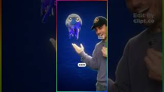 The jellyfish that never dies..