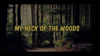 My Neck Of The Woods - Blake Shelton (Lyrics)