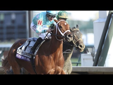 Breeders' Cup Longines Distaff (G1) 2018 -  Monomoy Girl