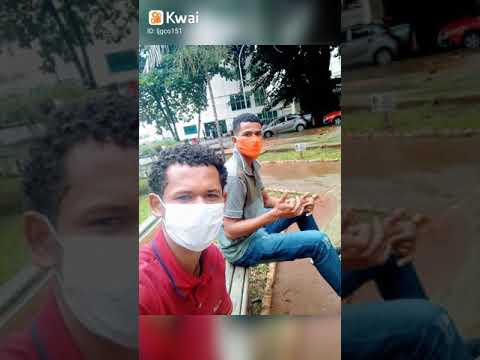 Melo de Sarinha 2013