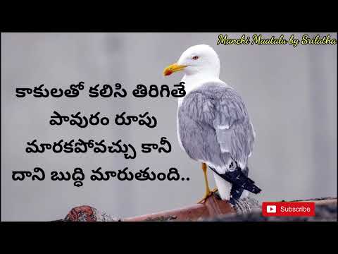 Life quotations|motivational quotes| jeevitha satyalu|famous quotations|Manchi Maatalu by Srilatha|