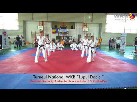 Demonstratie Turneul National WKB ”Lupul Dacic”