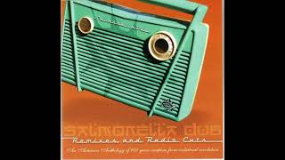 Salmonella Dub – Remixes and Radio Cuts (Full Album) (2006)