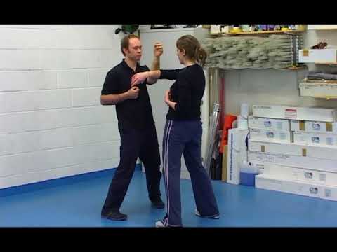 Ving Tsun Linhagem Wong Shun Leung