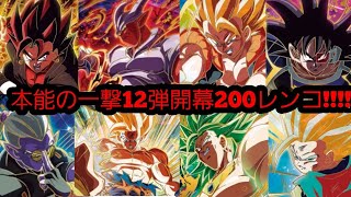 激アツの12弾開幕！まさかの神配列降臨！？興奮待ったなしの初日200レンコ!!!!